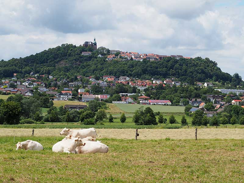 Blick auf Amöneburg